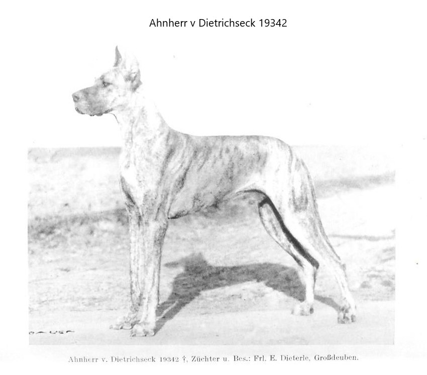 Abnherr v Dietrichseck